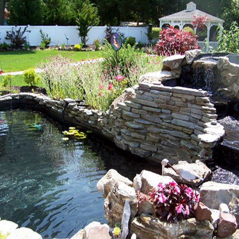 Pond Shield flexible coating resists cracking around concrete and stone features.