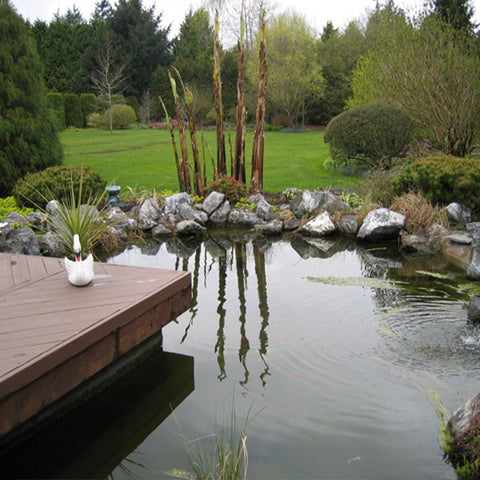 Pond Shield gray epoxy on pond edge for durable water-safe transition