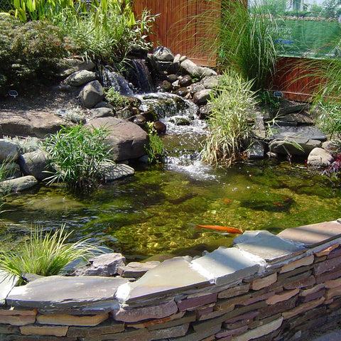 Pond Shield tan epoxy paint coverage area highlights single-coat pond sealing efficiency.
