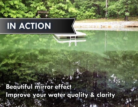 Pond Worx 1-quart bottle label for convenient dosing.