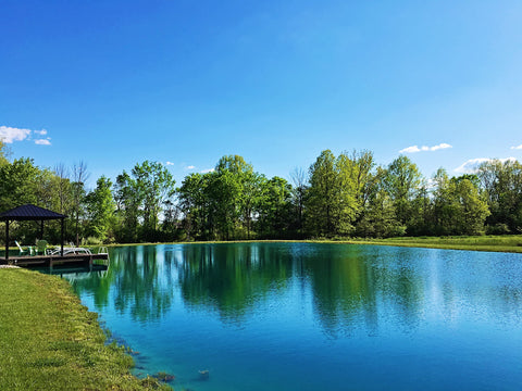 Pond Worx Blue Lake Dye being mixed into water