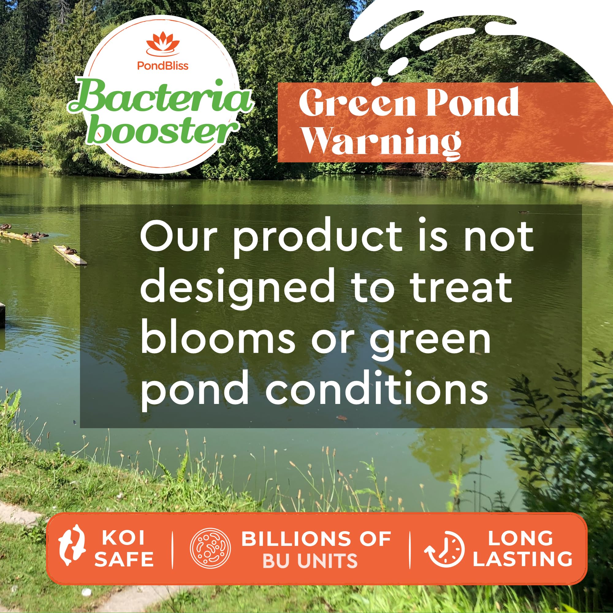 PondBliss Beneficial Booster bacteria suspension visualization of active microbes.