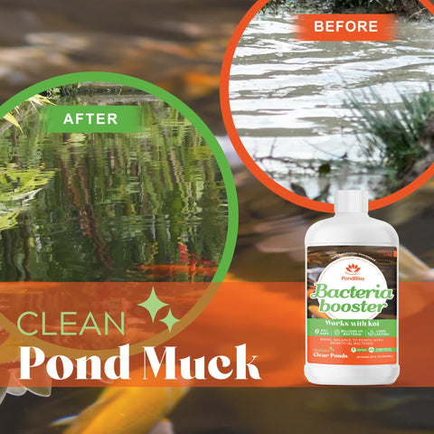 PondBliss Beneficial Booster clear water demonstrates improved pond clarity.