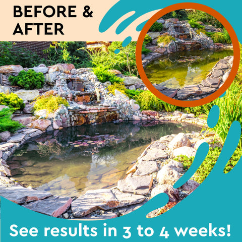EPA-registered PondBliss formula ensures safe use around outdoor features.