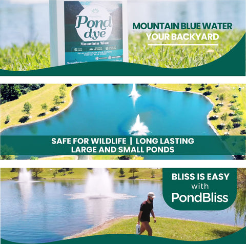 PondBliss Mountain Blue dye professional-use on estates and golf courses