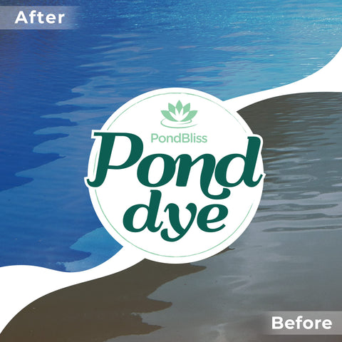 PondBliss Mountain Blue dye water color rich blue enhances pond aesthetics
