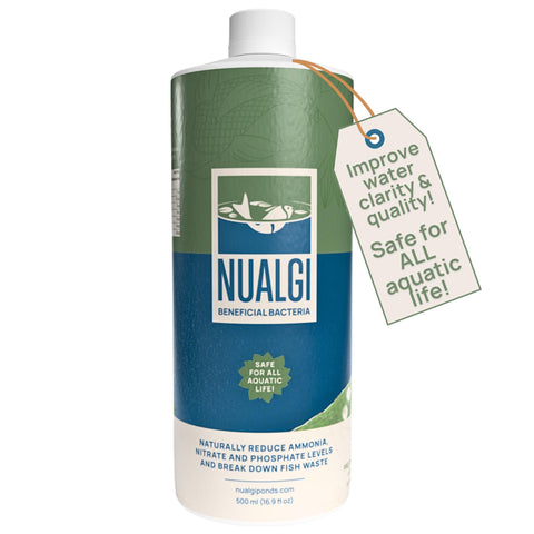 PondPatrol Nualgi beneficial bacteria bottle pour improves pond balance and clarity.