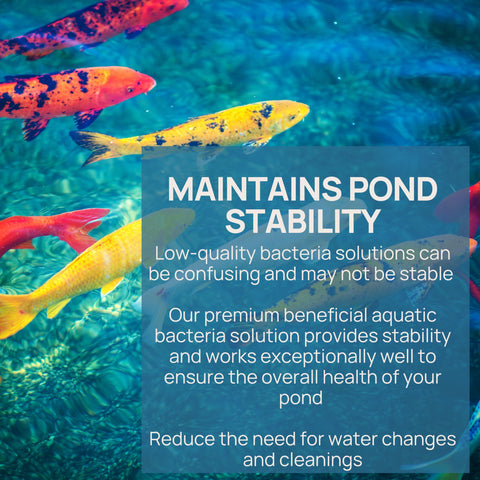PondPatrol Nualgi safe for fish plants and pets during outdoor water gardening.