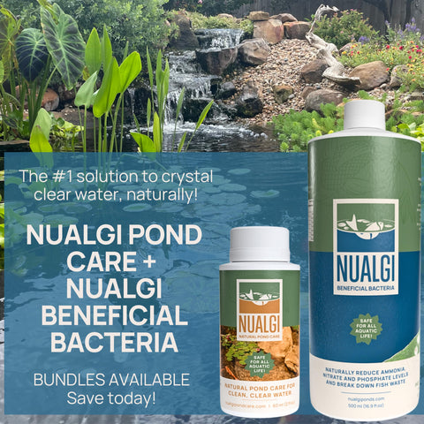 PondPatrol Nualgi stable beneficial bacteria for pond health and fewer water changes.