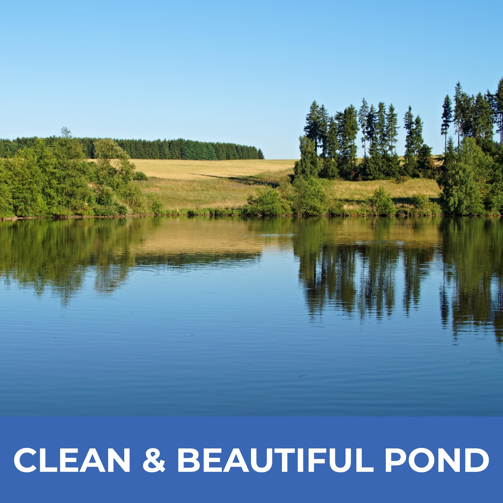 PondValue liquid formula is safe for aquatic life and wildlife.