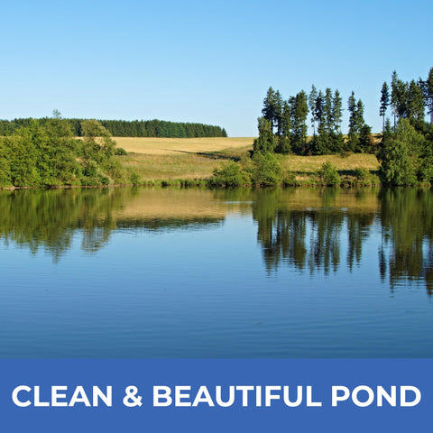 PondValue liquid formula is safe for aquatic life and wildlife.
