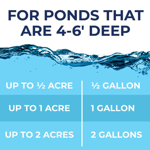 PondValue bottle covers up to one acre at 4–6 ft depth.