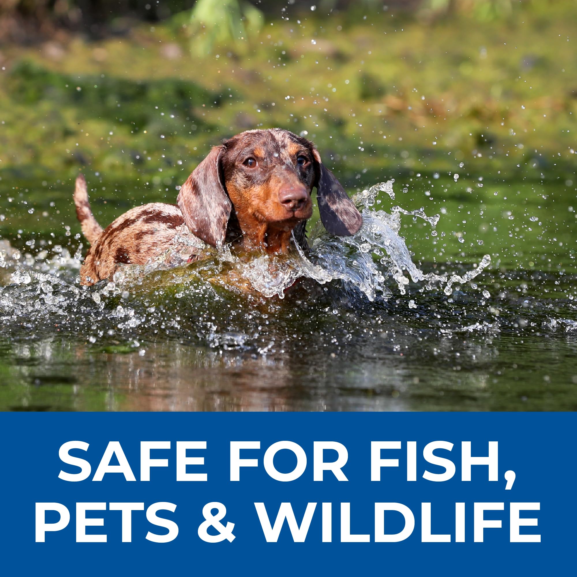 PondValue 1-gallon container offers long-lasting pond treatment options.