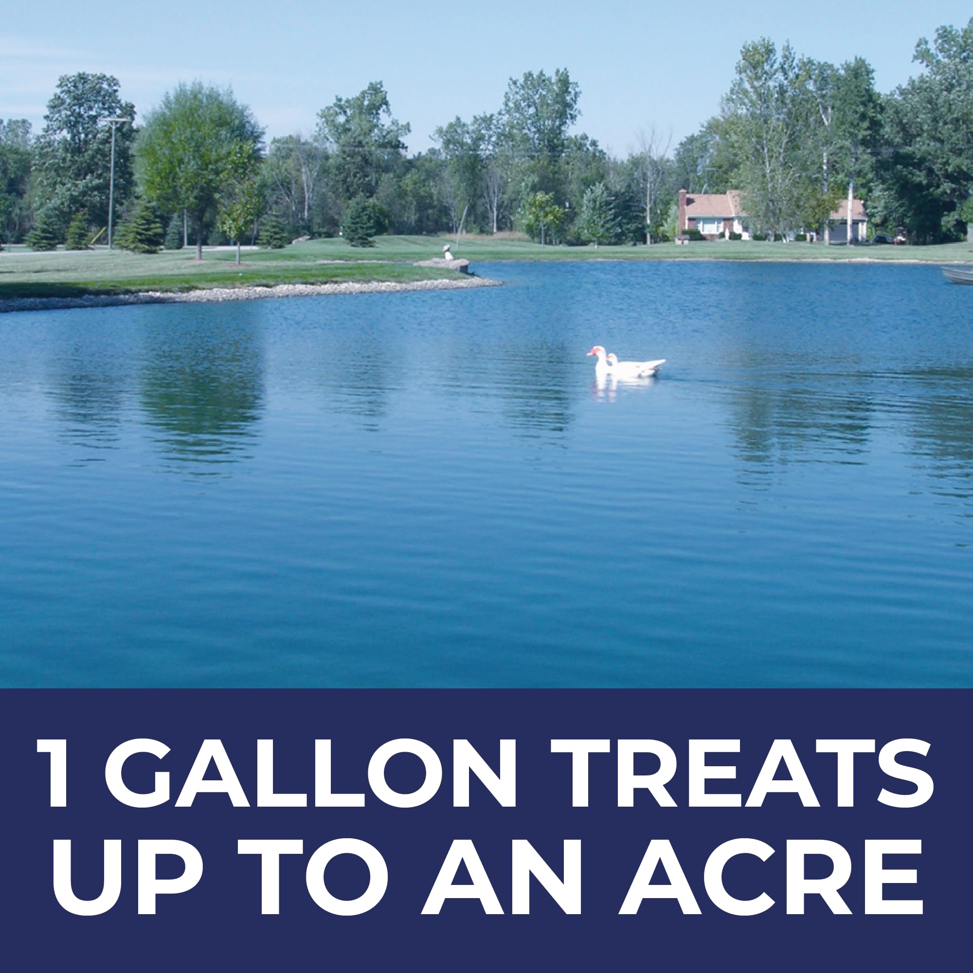 PondValue dye bottle on the pond edge suggests easy application for clearer water.