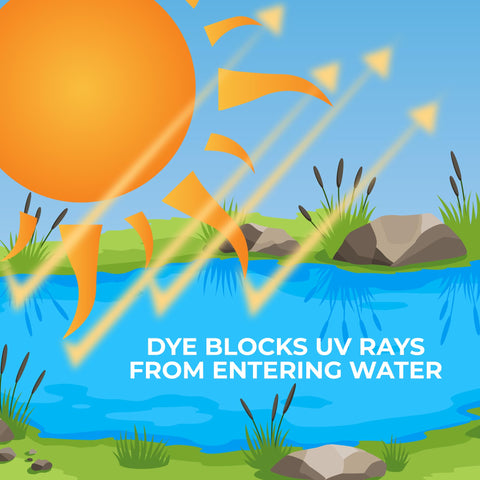 PondValue eco-friendly dye supports pond aesthetics without harming wildlife or pets.