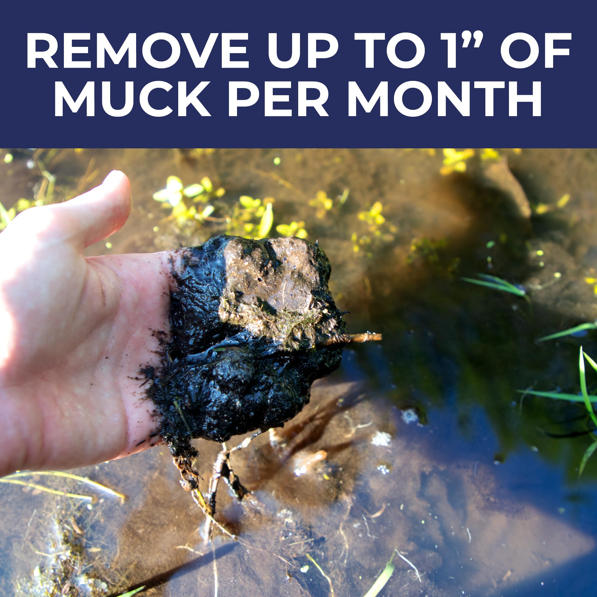 Applying PondValue at the pond edge for larger ponds.