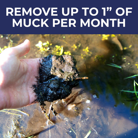 Applying PondValue at the pond edge for larger ponds.