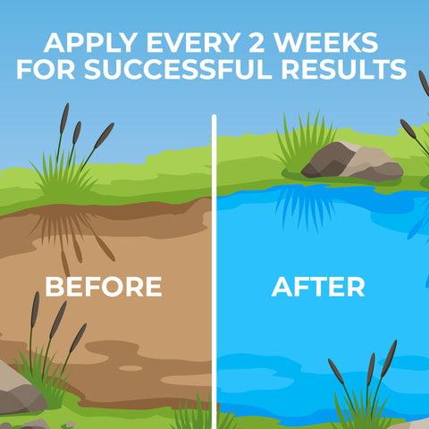 PondValue is safe for fish and wildlife thanks to natural bacteria.