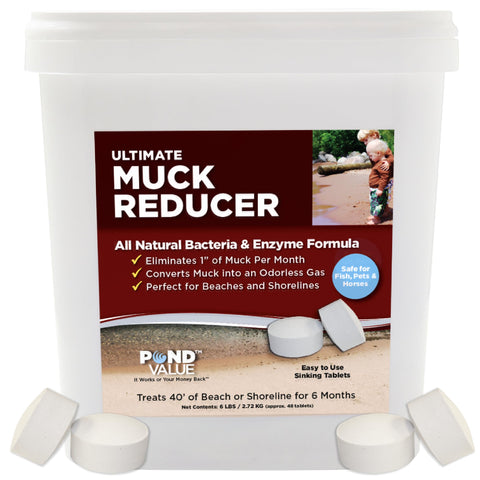 PondValue Ultimate Muck Reducer tablets pack for shoreline muck control.