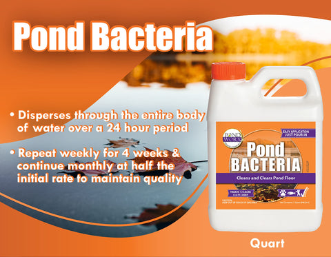 Pond Worx bacteria action on muck and sludge is visible after application.