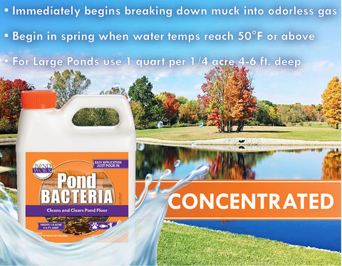 Pond Worx concentrated formulation highlights a powerful treatment for large ponds.