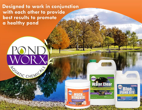 Pond Worx ecosystem-friendly products work together for better pond health.