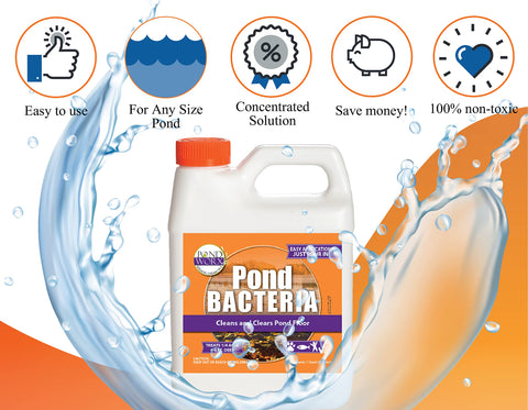 Pond Worx large pond ecosystem balance promotes clear water and healthy aquatic life.