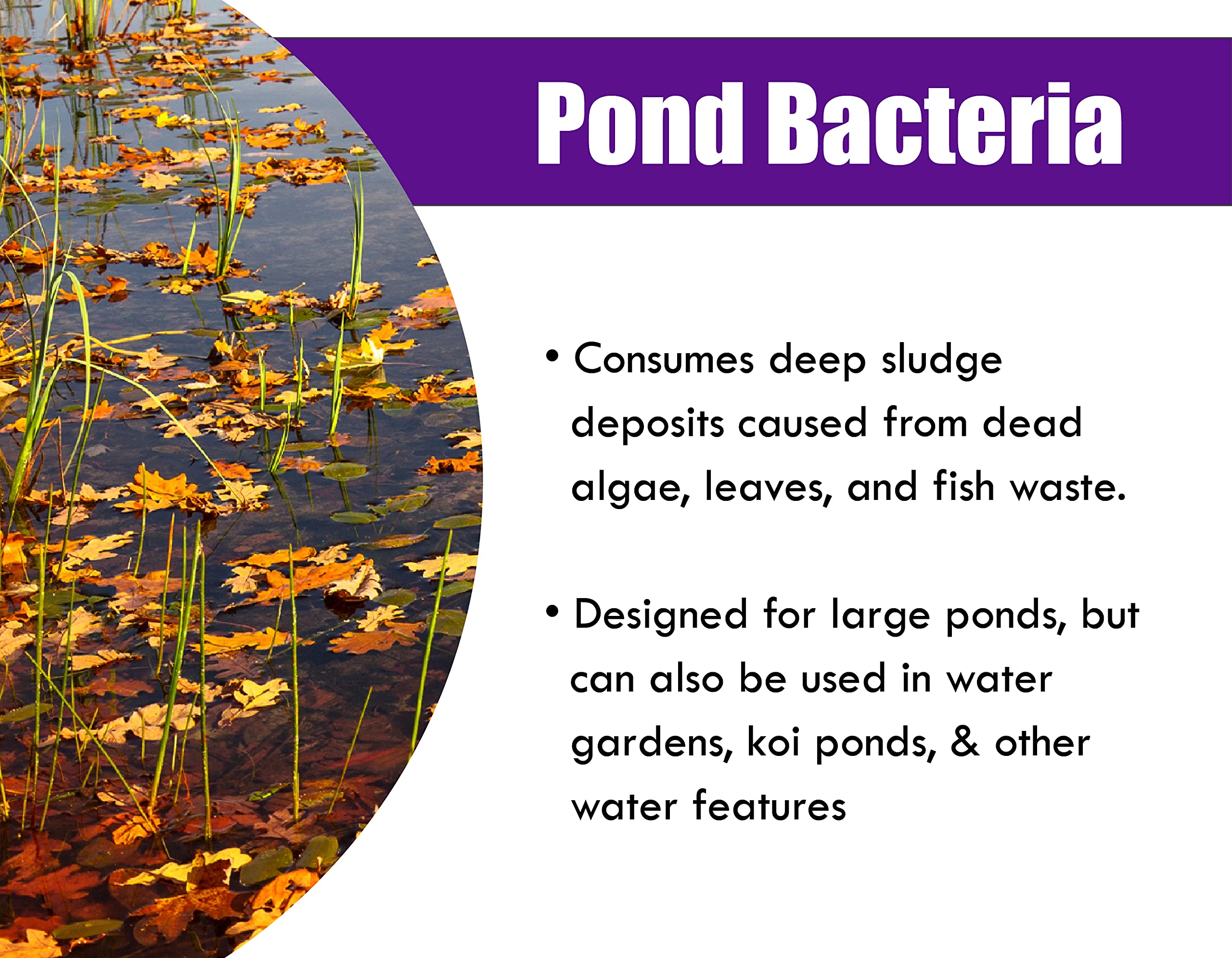 Pond Worx pond application process demonstrates simple, safe treatment for water features.