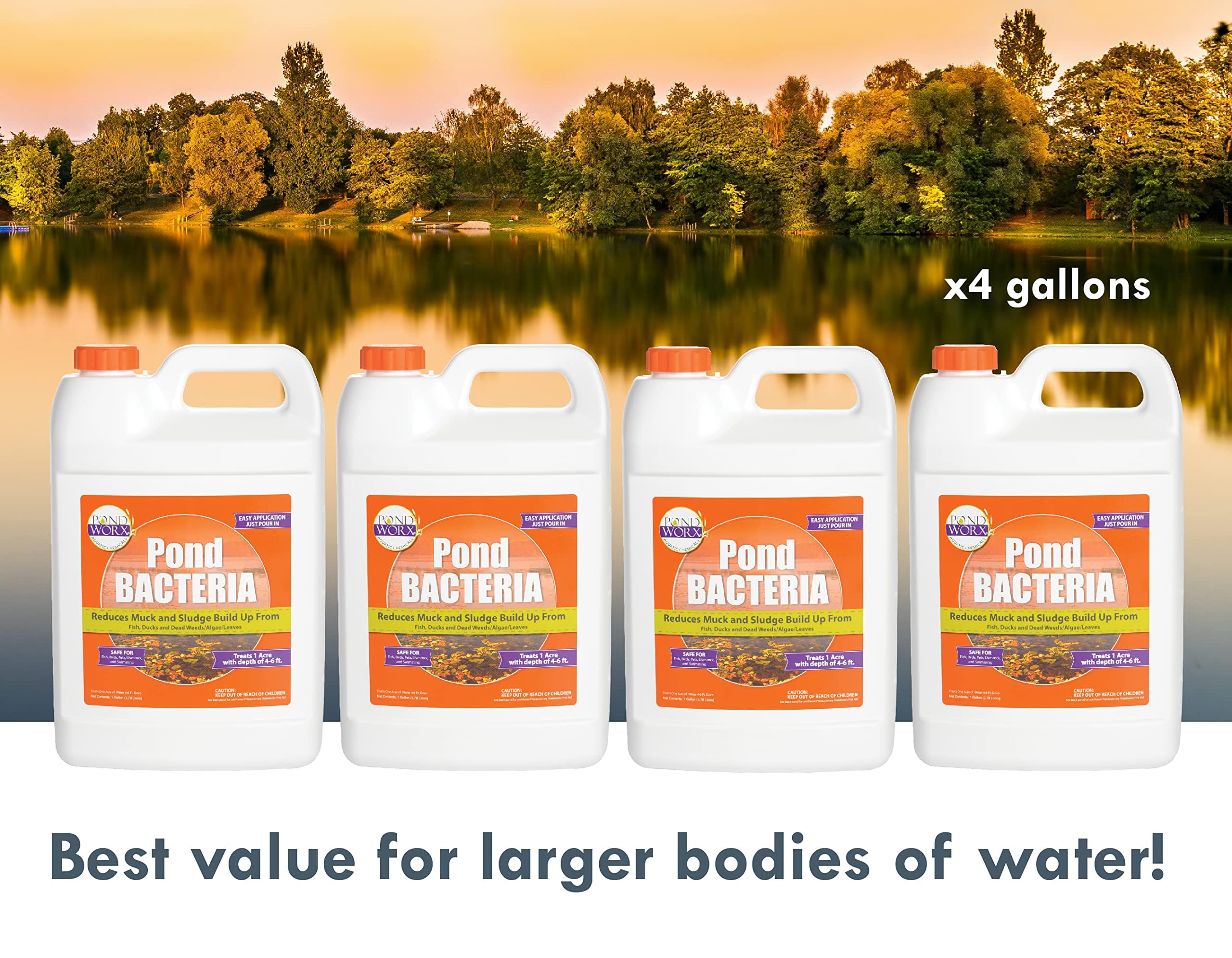 Pond Worx Pond Bacteria tested for koi-safe water.