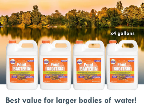 Pond Worx Pond Bacteria tested for koi-safe water.