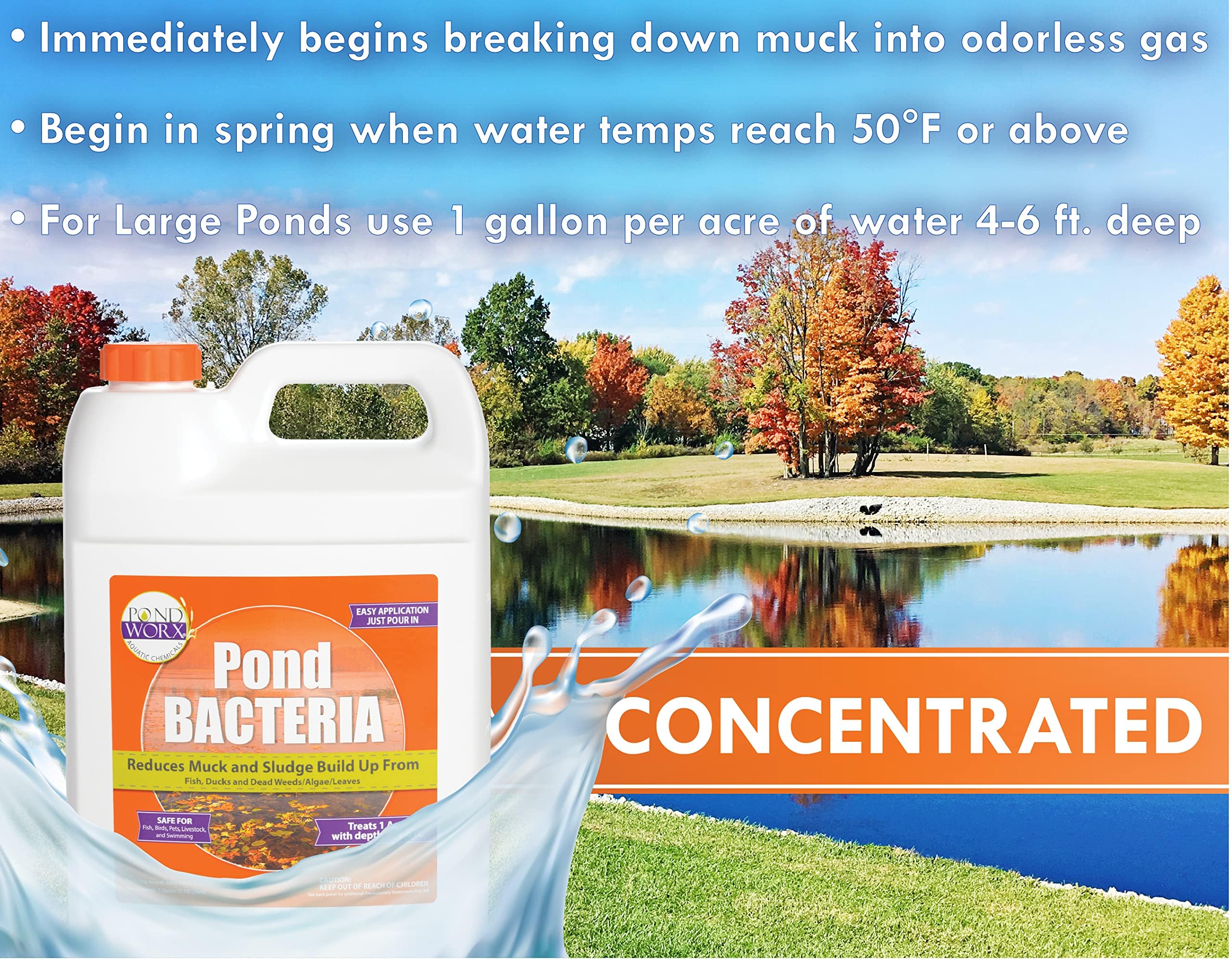 Pond Worx Pond Bacteria addressing muck and sludge buildup.