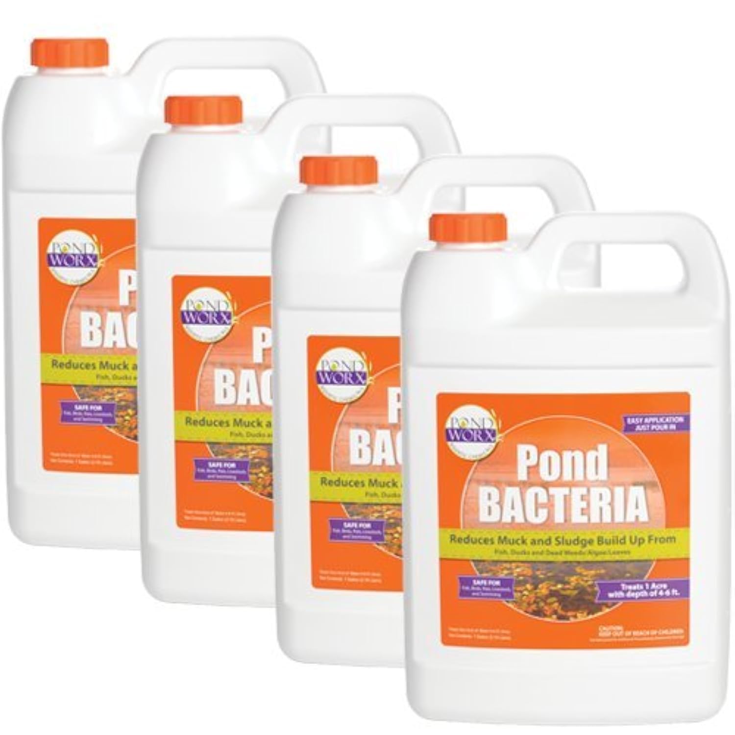 Pond Worx Pond Bacteria packaging showing the 4-gallon value pack.