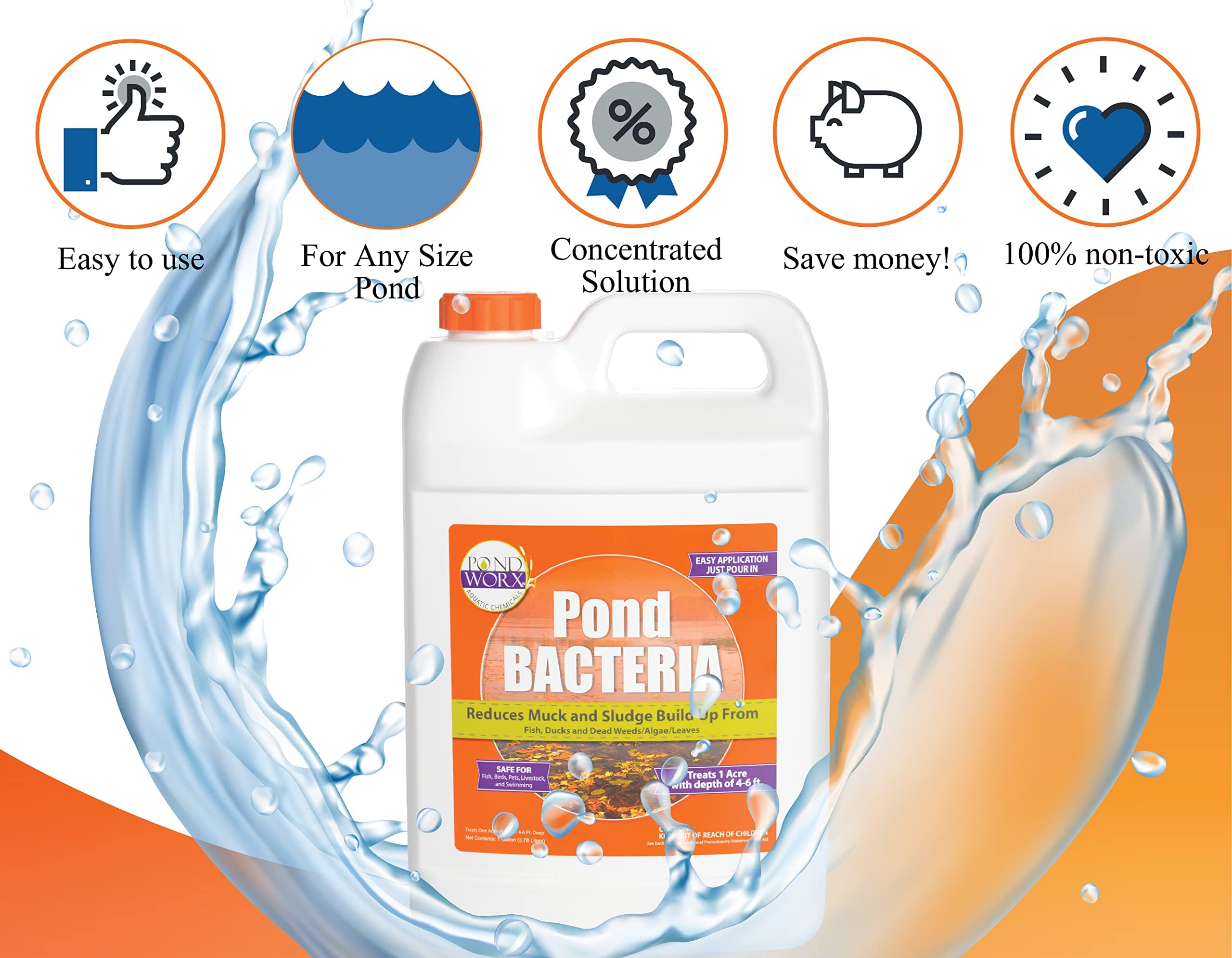 Pond Worx Pond Bacteria makes water recreation-ready after application.