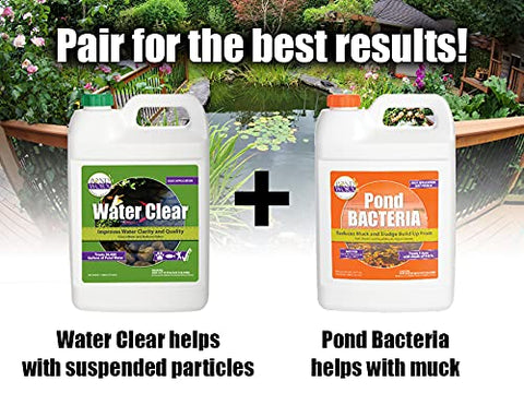 Pond Worx Water Clear dosage guidance shown for large pond water treatment.