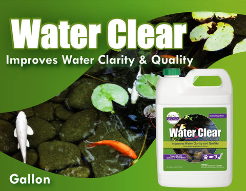 Pond Worx Water Clear demonstrates improved pond clarity in a real-life setting.