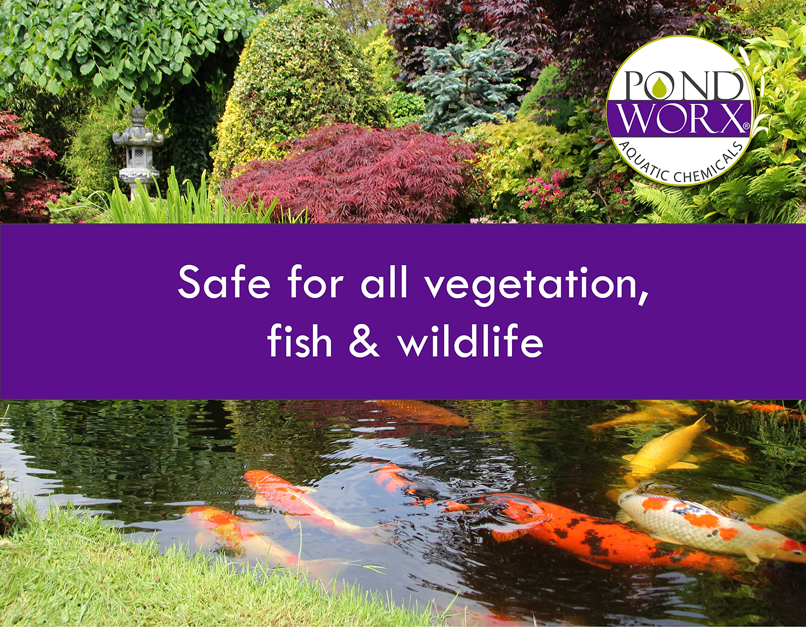 Pond Worx water-feature use image showing immediate recreation-ready water.