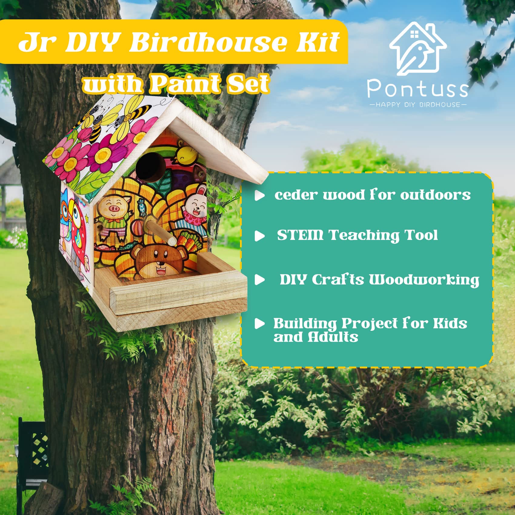 Pontuss DIY birdhouse kit – paint strip: vibrant colors to customize and spark creativity.