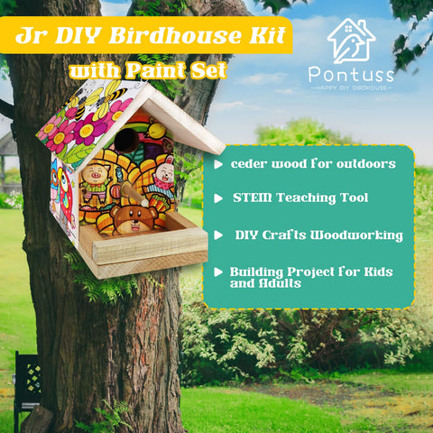 Pontuss DIY birdhouse kit – paint strip: vibrant colors to customize and spark creativity.