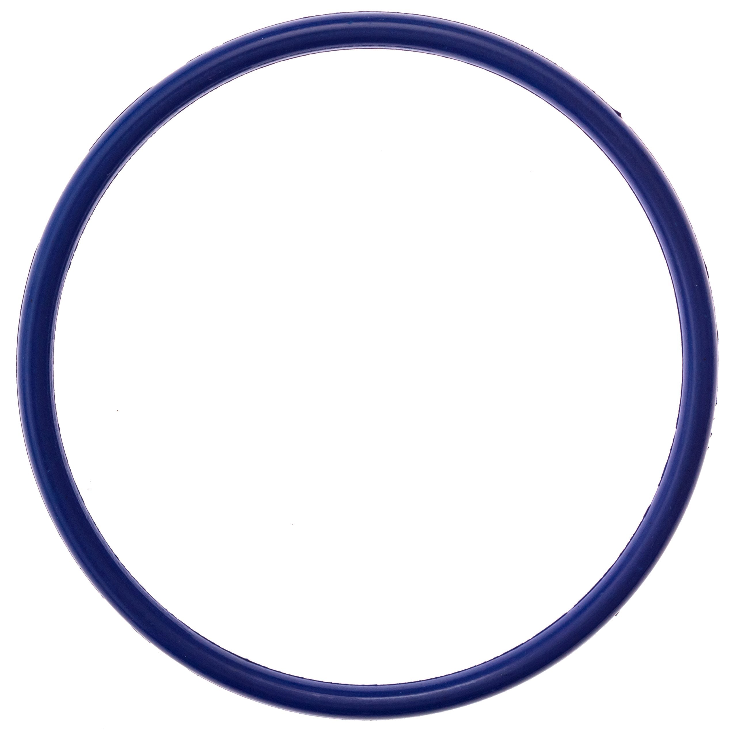 Pool Ruler R172009 O-Ring seal on Pentair Rainbow chlorinator lid