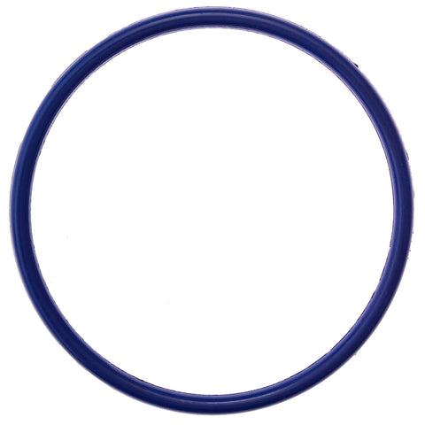 Pool Ruler R172009 O-Ring seal on Pentair Rainbow chlorinator lid