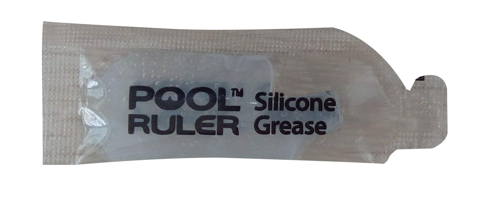 Pool Ruler R172009 two-pack seal ready for replacement