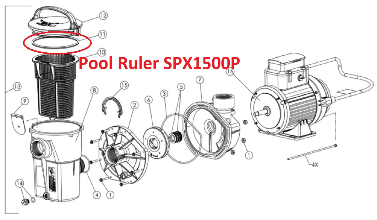 Pool Ruler two-pack with grease included for easy pump maintenance.