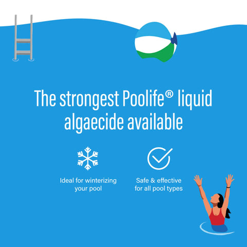 Close-up of Poolife Algae Bomb label highlighting 60% polyquat formula