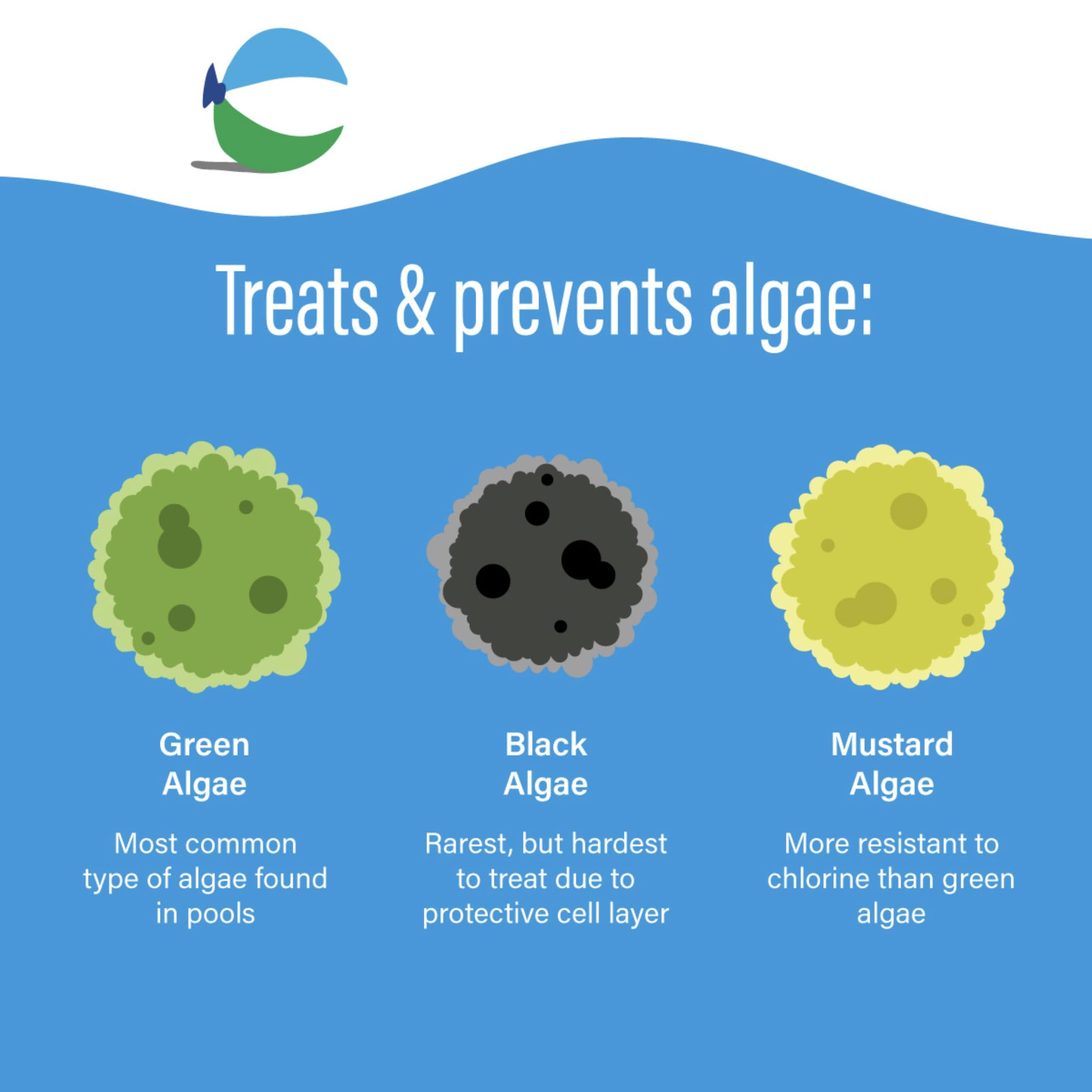 Poolife Algaecide 90 bottle pour demonstrates easy application into pool water.