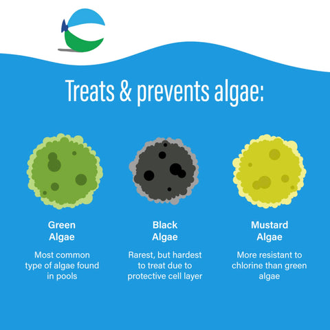 Poolife Algaecide 90 bottle pour demonstrates easy application into pool water.