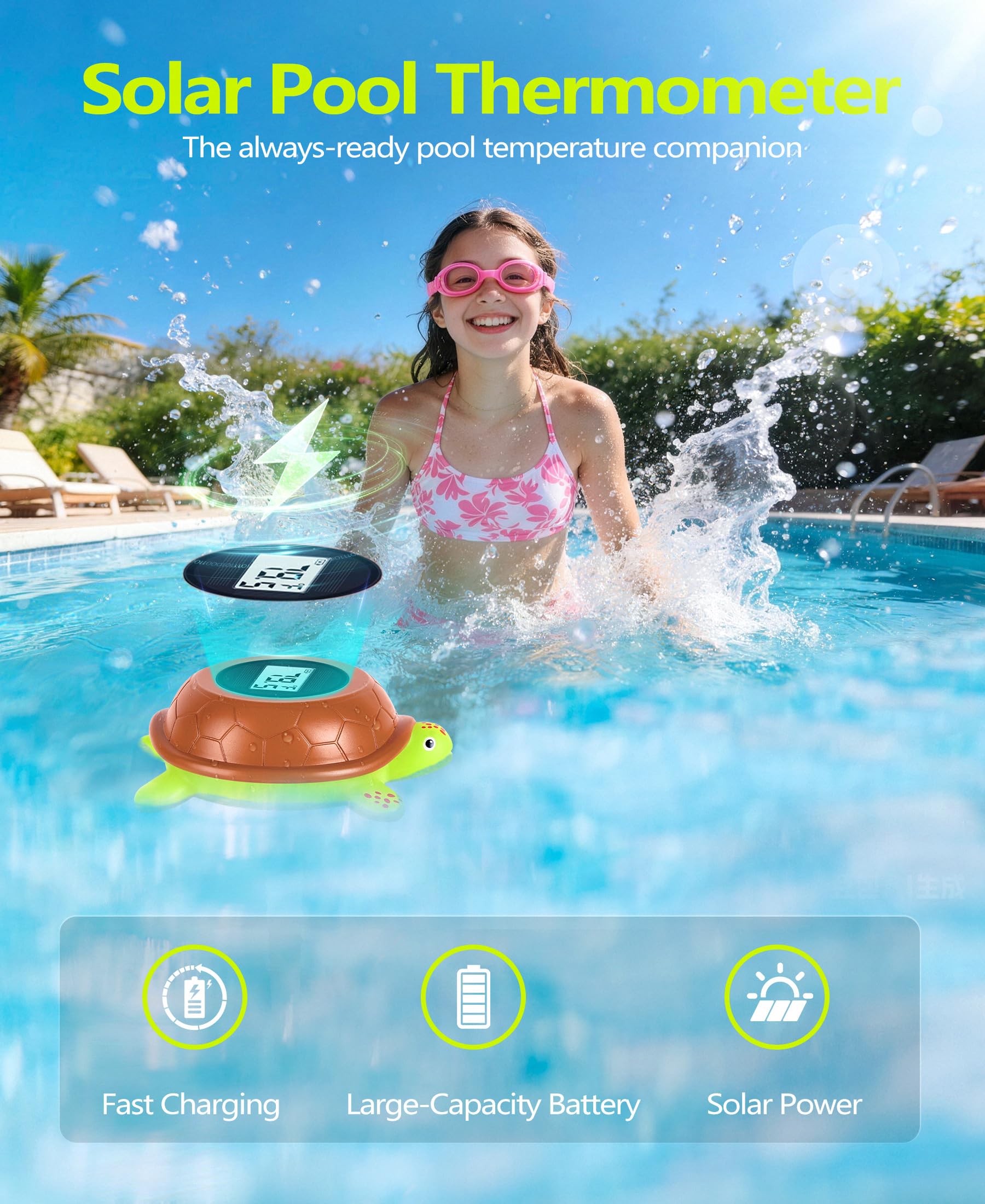 PoolLeader turtle-design thermometer floating with clear temperature readouts.