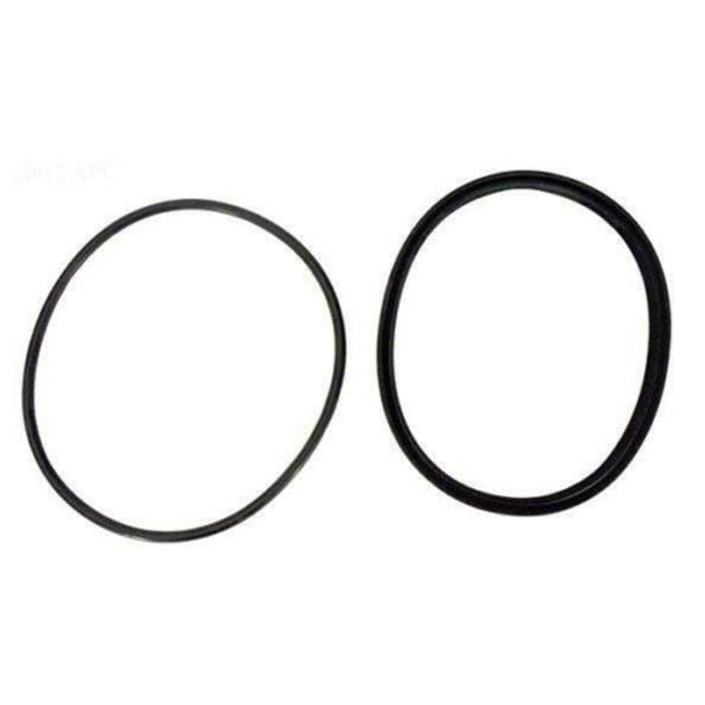 Pooloop R0449100 includes O-Ring and sealing ring for easy replacement