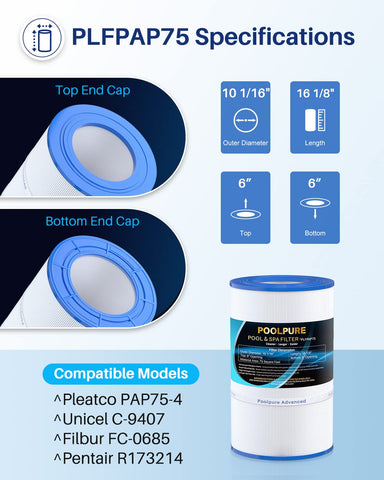 Dirt-Locking technology detail on POOLPURE PAP75 cartridge.