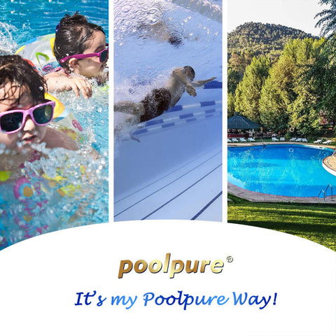 POOLPURE PLFC-8465-M packaging ready-to-use replacement part