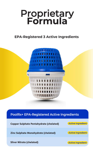 PoolRx easy-maintenance setup ideal for busy families
